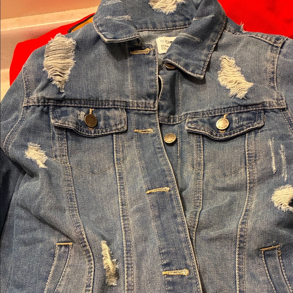 Zara Distressed Denim Jacket in Blue